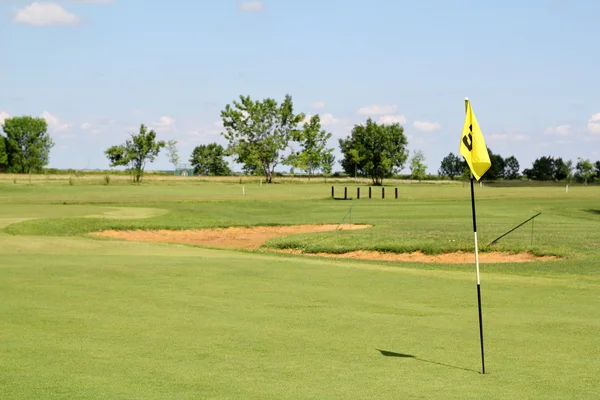 Pole s žlutým golf vlajky — Stock fotografie