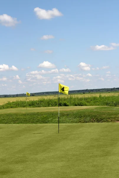 Bandeira amarela de dois golfe — Fotografia de Stock