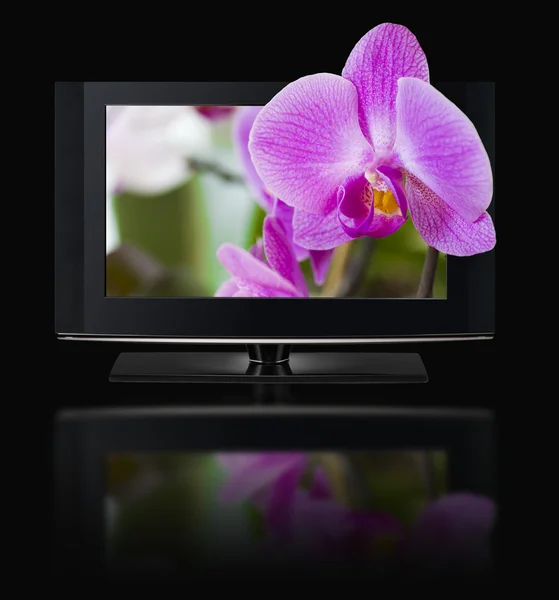 3D телевидение. ЖК-телевизор в HD 3D . — стоковое фото