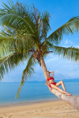 Woman suntanning on the trunk of a palm clipart