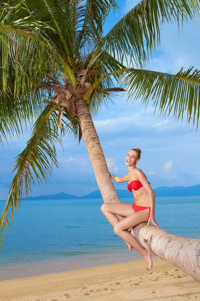 Mulher sentada na palmeira — Fotografia de Stock