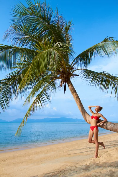 Kadın bir palmiye ağacı karşı yaslanmış — Stok fotoğraf