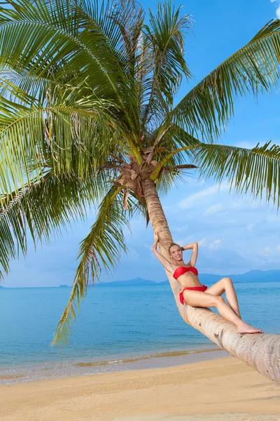 Kobieta w bikini leżącej na pniu drzewa palmowego — Zdjęcie stockowe