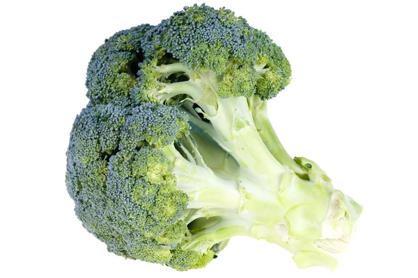 Primer plano del brócoli sobre un fondo blanco — Foto de Stock