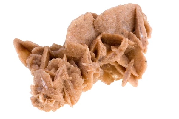 Desert rose, crystals made of the sand — Stock Photo, Image