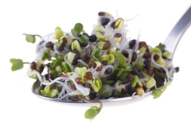 Beyaz arka planda izole edilmiş kaşıkta brokoli filizleri.