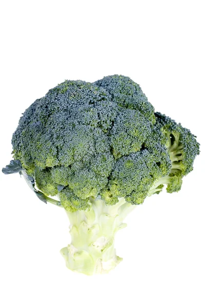 Närbild av broccoli på vit bakgrund — Stockfoto