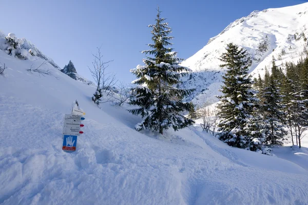 Tatras polacos panorámicos en el paisaje de invierno —  Fotos de Stock