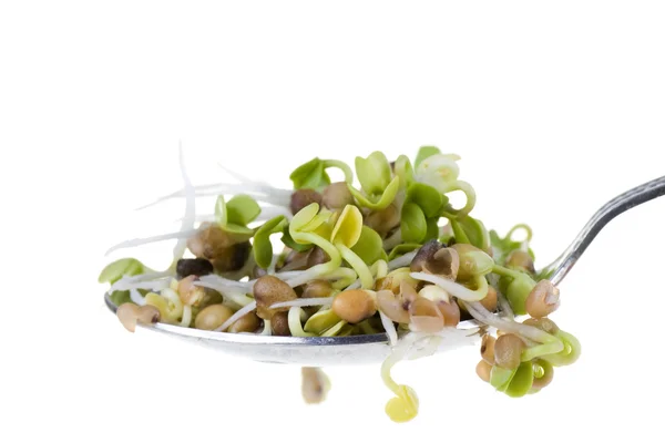 stock image Radish sprouts on a spoon isolated on white background