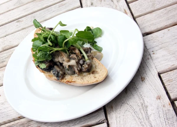 krem peynir mantarlı bruschetta ile su teresi