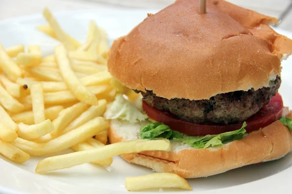 stock image Home made Hamburger and chips and coleslaw