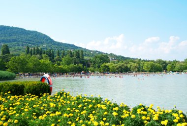 Detail of the Lake Balaton in Badacsony,Hungary clipart