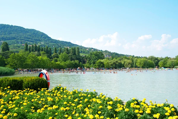 在 badacsony，匈牙利的巴拉顿湖的详细信息 — 图库照片