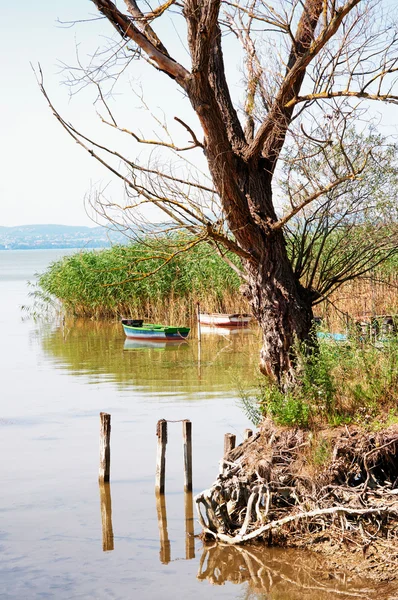 Ladscape nad brzegiem jeziora balaton, Węgry — Zdjęcie stockowe
