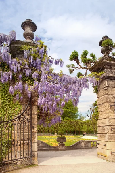 Jardins em Mirabell Palace — Fotografia de Stock