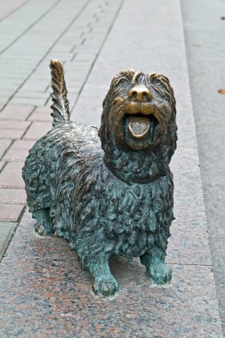 köpek leke