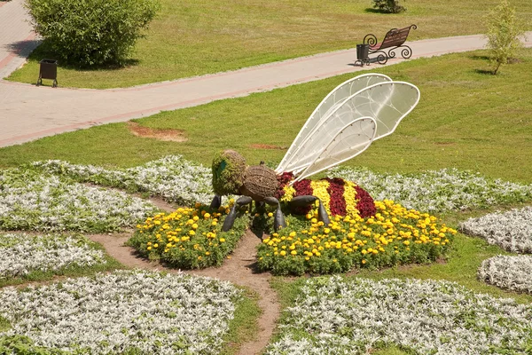 Bir flowerbed üzerinde yaban arısı — Stok fotoğraf