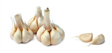 Young garlic clipart