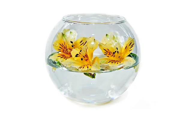 stock image Vase with flowers