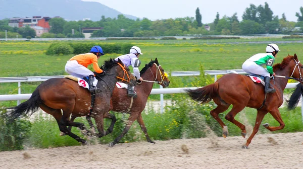 Hästkapplöpning. — Stockfoto