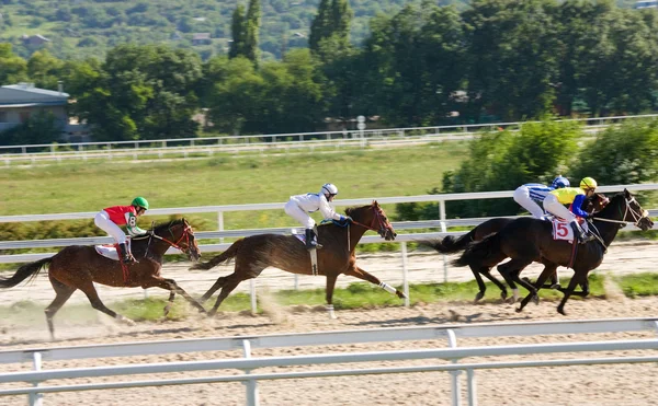 馬のレース. — ストック写真