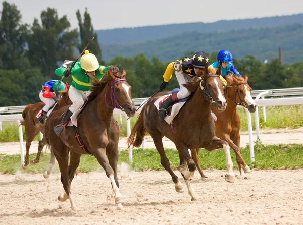Hästkapplöpning. — Stockfoto