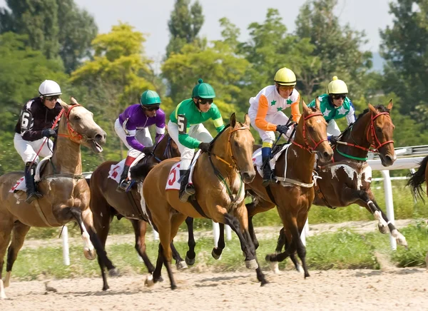 Horse racing. Stock Picture