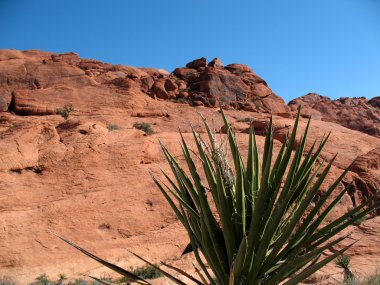 Red Rock Canyon Nevada