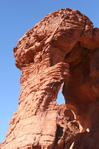 Rocher d'éléphant dans la vallée du feu Nevada — Photo