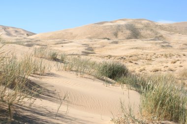 kum tepeleri mohave desert Kaliforniya