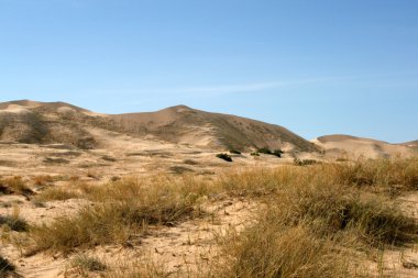 kum tepeleri mohave desert Kaliforniya