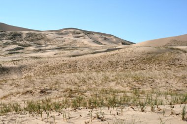 kum tepeleri mohave desert Kaliforniya