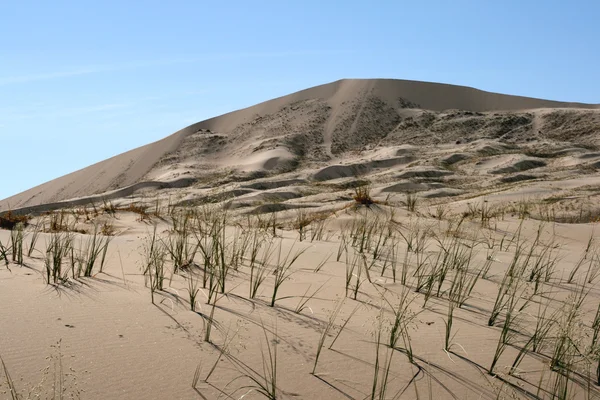 Sand dunes of Mohave desert California — Stock Photo, Image