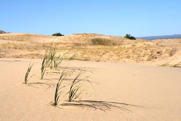 Sand dunes of Mohave desert California — Stock Photo, Image
