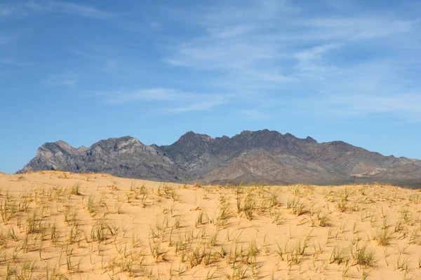 Wydmy pustyni mohave Kalifornii — Zdjęcie stockowe