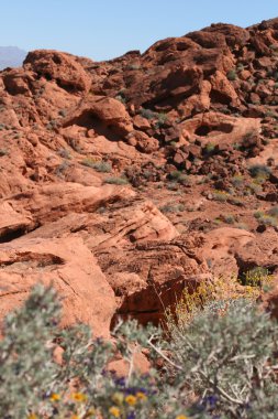 Valley of Fire Nevada