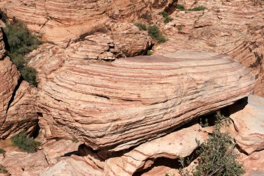 Red Rock Canyon Nevada