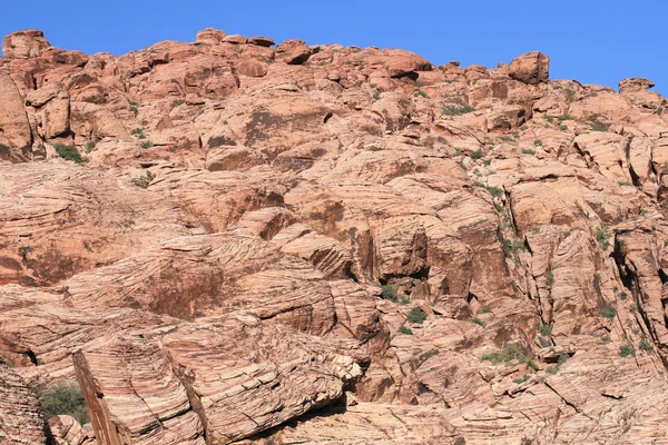 Red Rock Canyon Nevada — Stok fotoğraf