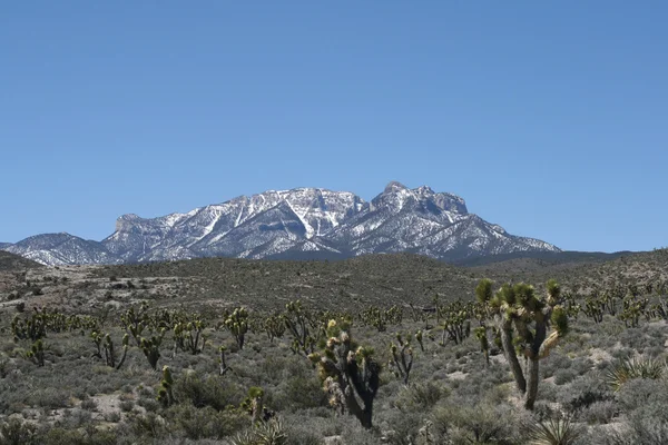 Montanhas da Primavera Nevada — Fotografia de Stock
