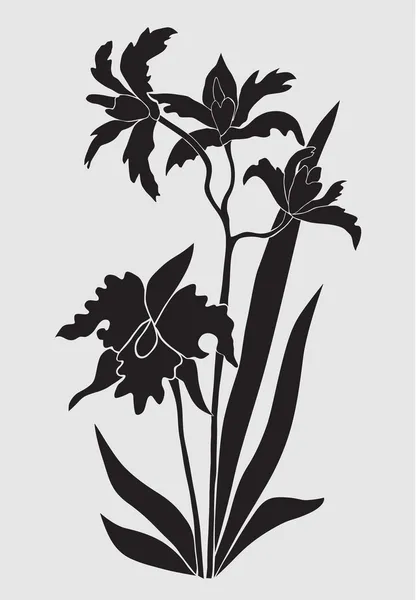 Fleur d'orchidée décorative — Image vectorielle