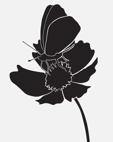 蝴蝶落在花朵上 — 图库矢量图片