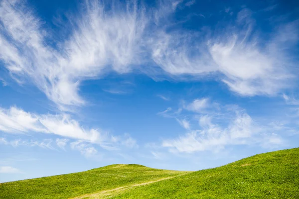 Campo de hierba verde contra el cielo azul — Foto de Stock