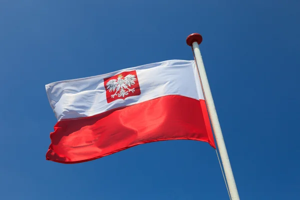 Under polsk flagg — Stockfoto