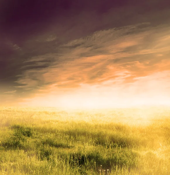Волшебный пейзаж с туманом восхода солнца — стоковое фото