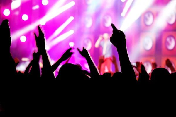 On music concert, disco party. — Stock Photo, Image