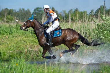 Rider on horse is negotiating cross-country Water jump clipart