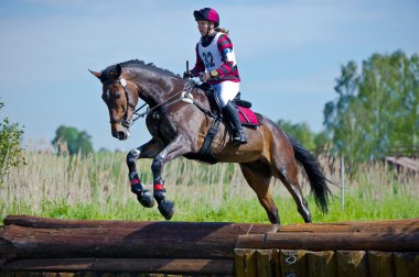 Woman eventer on horse is Drop fence in Water jump clipart