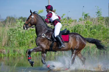 eventer su sıçrama müzakere ata