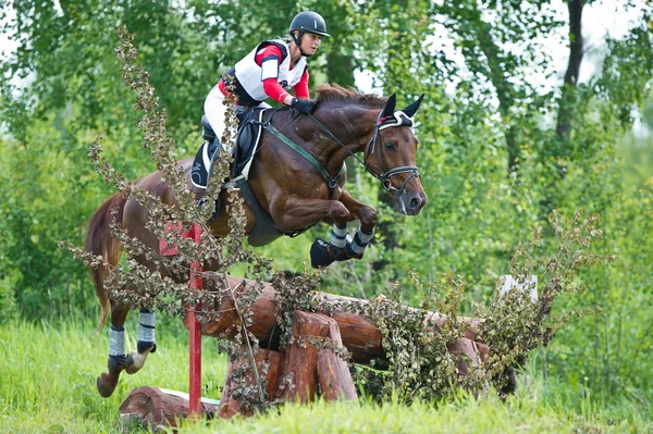 Asszony eventer a ló, legyőzi a kerítés — Stock Fotó