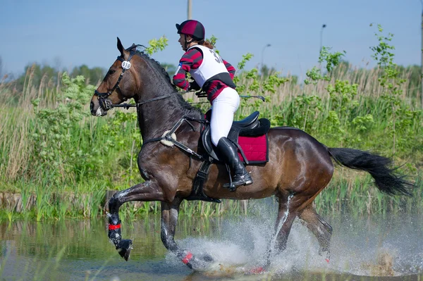 Eventer on horse negotiating Water jump — Stock Photo, Image